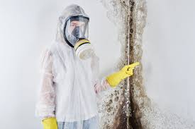 Bridgeport, WA Mold Removal Services Company